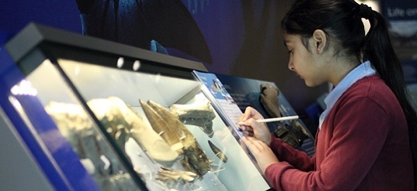 Arts Award adviser enews