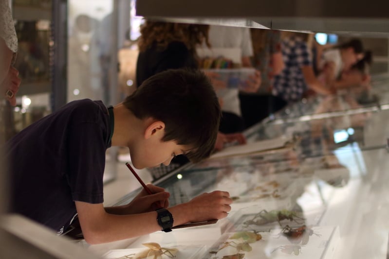 Zoology Cambridge